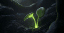 Seedream 5.0 Lite